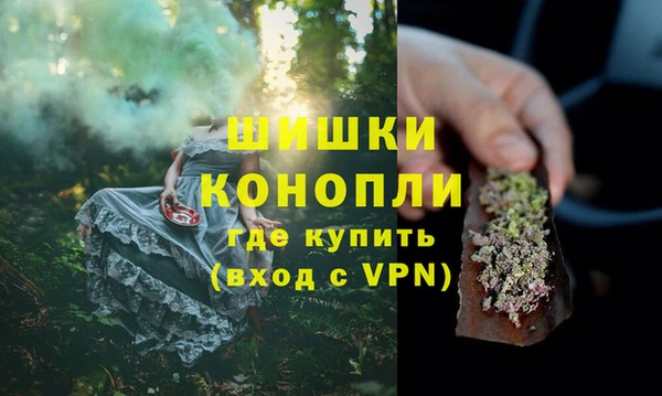 сатива Абдулино